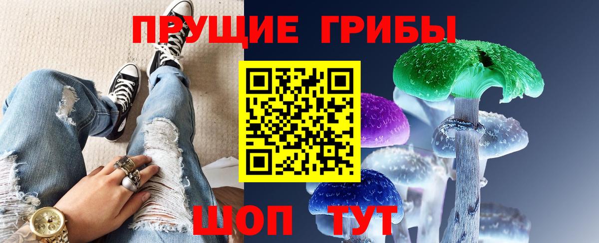 Псилоцибиновые грибы прущие грибы  где продают   Заринск  Вход с VPN 